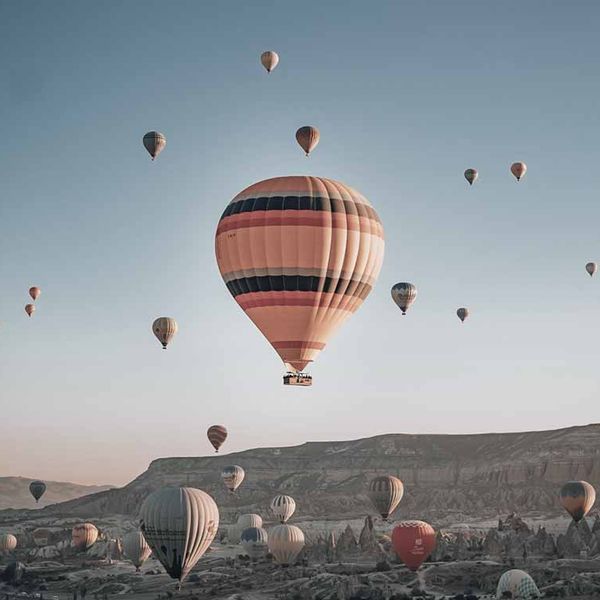 The SeedX <span>Difference</span>